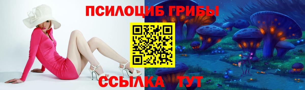 Псилоцибиновые грибы MAGIC MUSHROOMS  Вход с VPN  Белово 